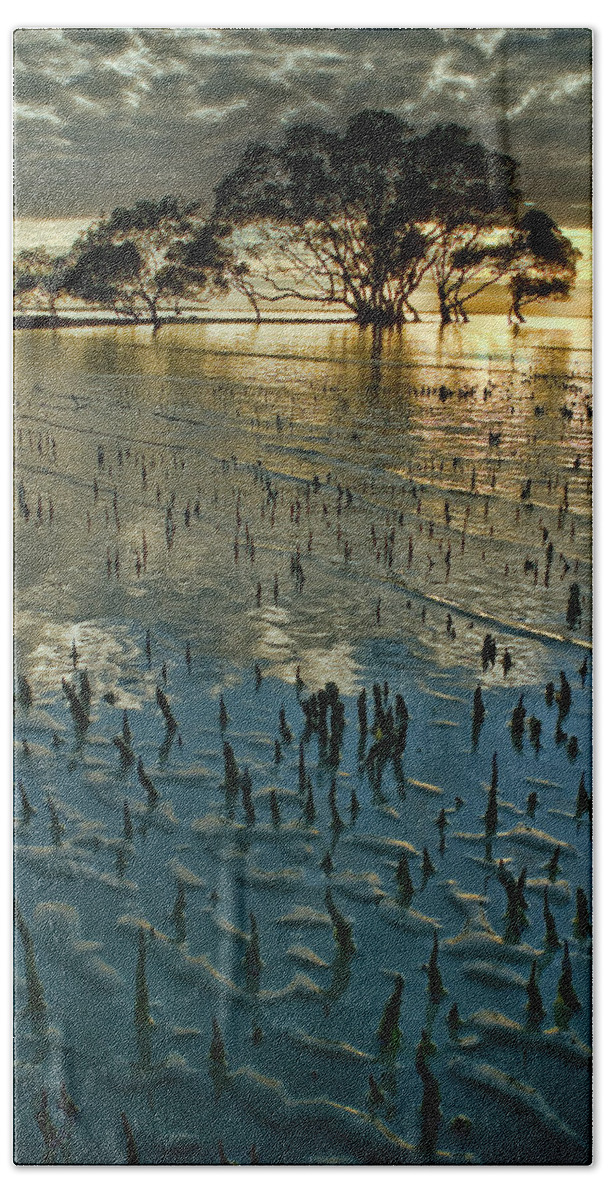 2010 Bath Towel featuring the photograph Mangroves by Robert Charity