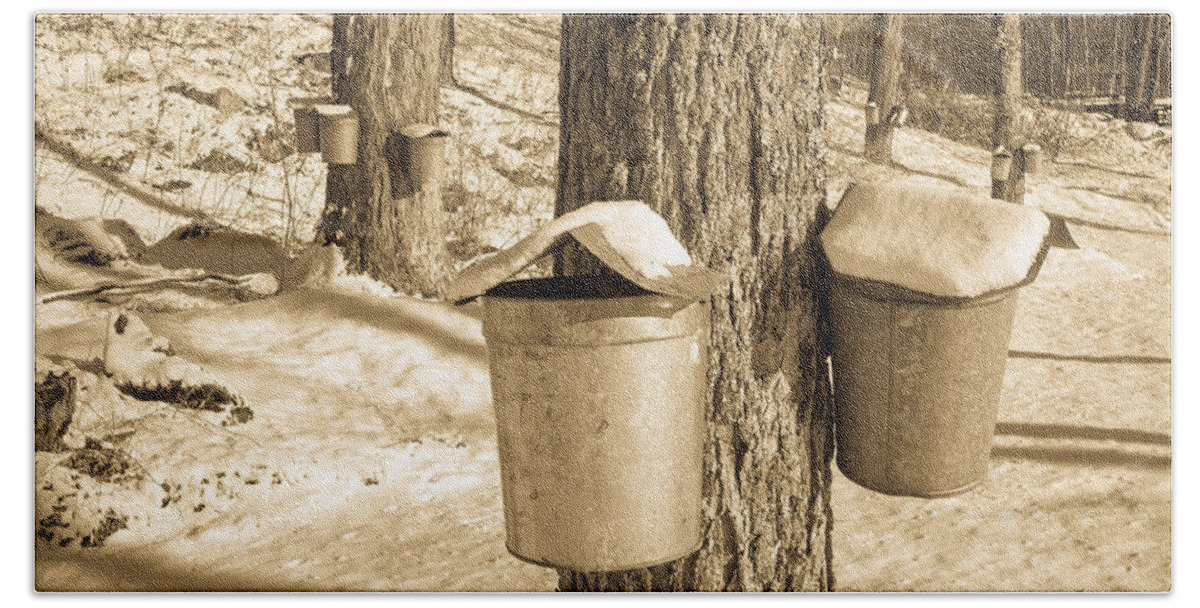 Vermont Bath Towel featuring the photograph Maple Sap Buckets by Edward Fielding