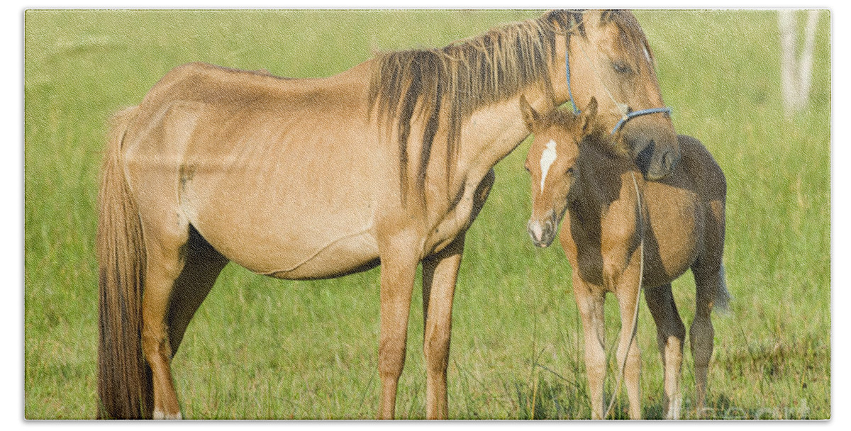 Nature Bath Towel featuring the photograph Mare With Colt by William H. Mullins