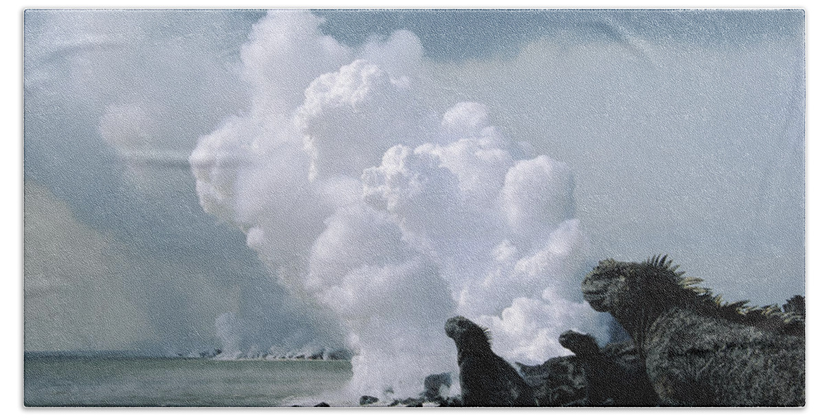 Feb0514 Bath Towel featuring the photograph Marine Iguanas And Steam From Lava by Tui De Roy