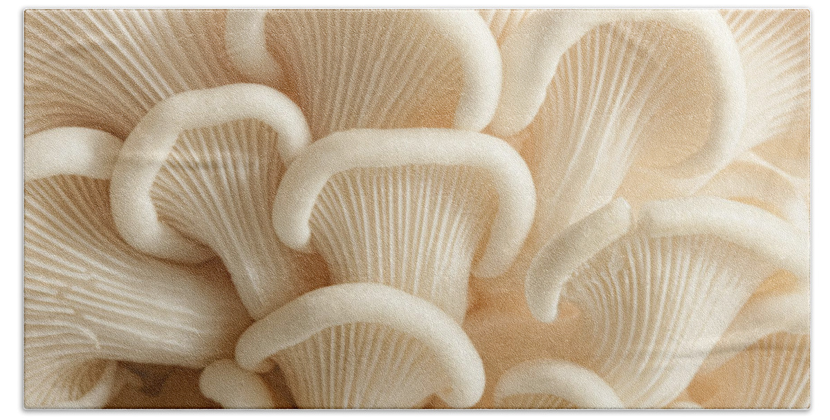 Mushrooms Bath Towel featuring the photograph Marvelling the Mushroom - II by Marilyn Cornwell