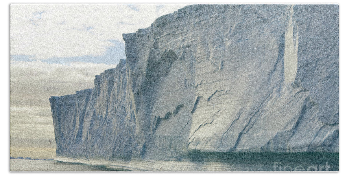 00346006 Bath Towel featuring the photograph Massive Iceberg, South Georgia #1 by Yva Momatiuk John Eastcott