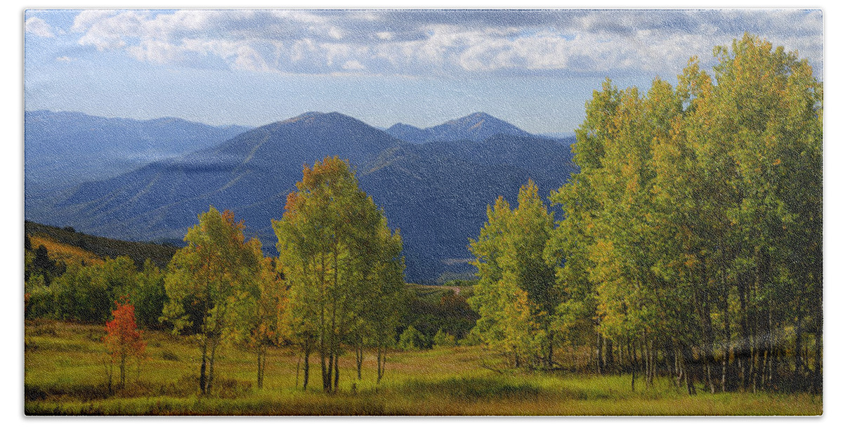 Nature Hand Towel featuring the photograph Meadow Highlights by Chad Dutson