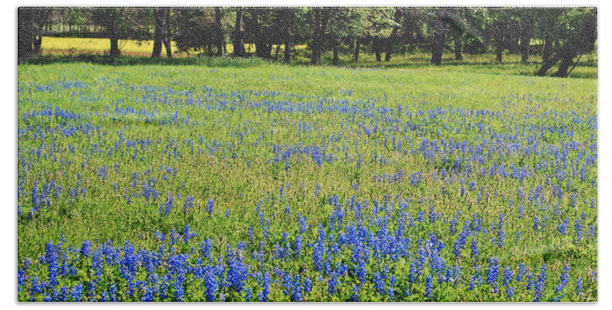 Field Of Wildflowers Hand Towel featuring the photograph Meadows of Blue and Yellow. Texas Wildflowers by Connie Fox