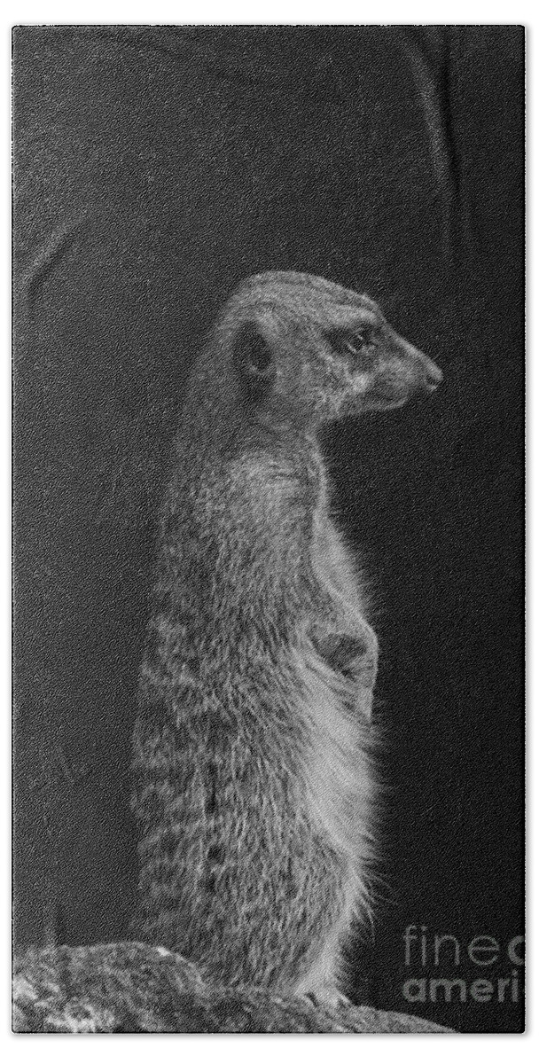 Meerkat Hand Towel featuring the photograph Meerkat Profile Black And White by Steve Triplett