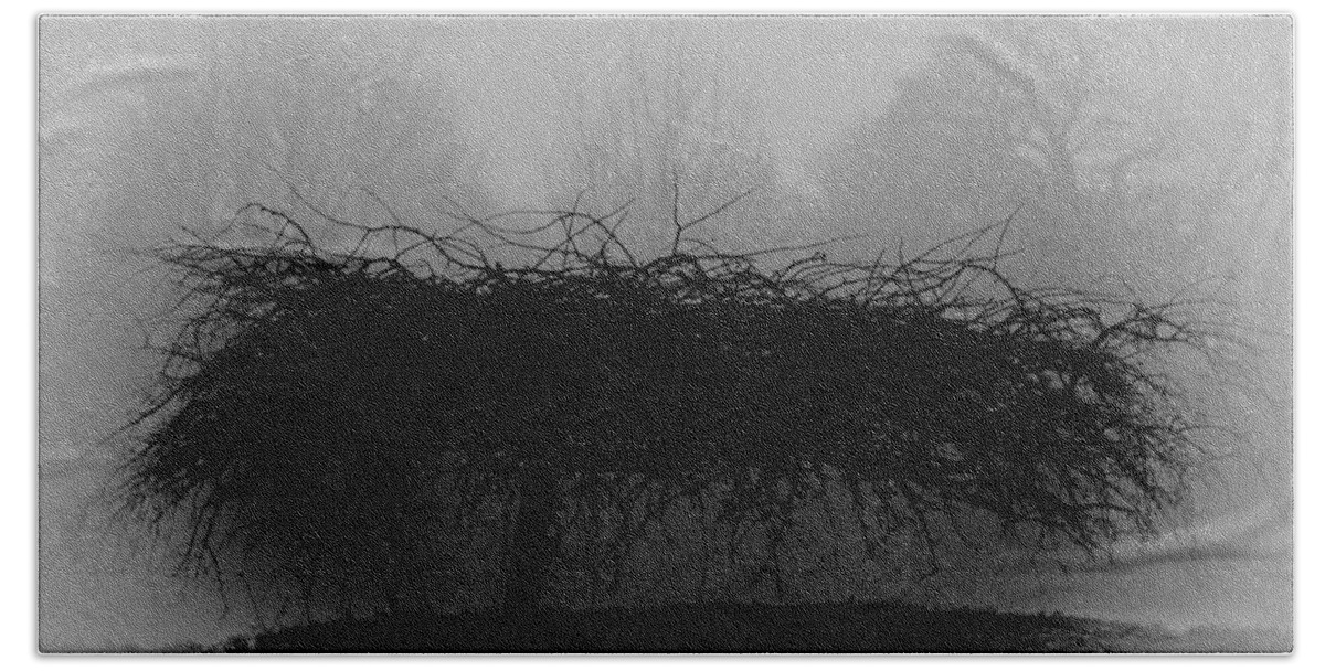 Britain Bath Towel featuring the photograph Middlethorpe Tree In Fog Bw by Tony Grider