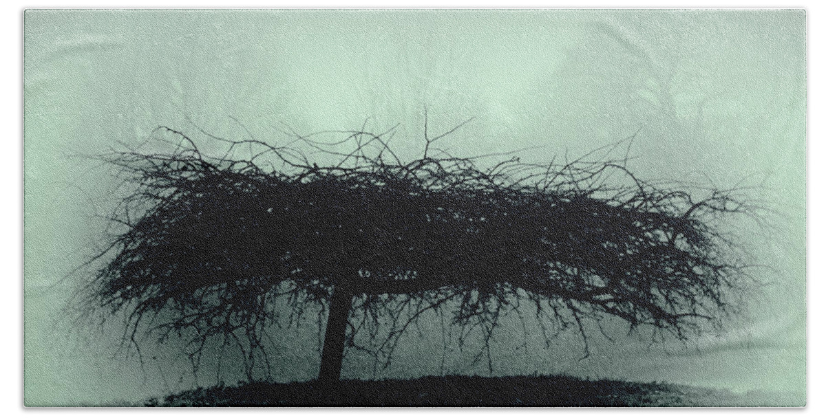 Hedge Hand Towel featuring the photograph Middlethorpe Tree In Fog Gray And Green by Tony Grider