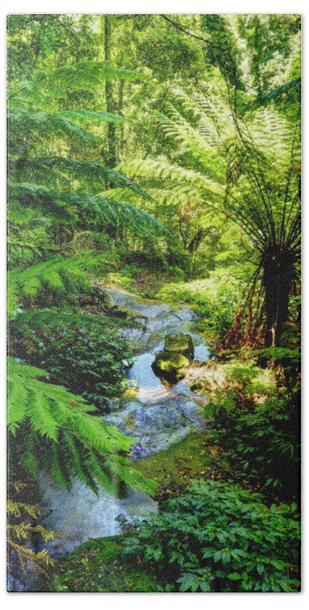 Creek Bath Towel featuring the photograph Minnamurra Rainforest 2AM 7191-3 HDR by Andrew McInnes