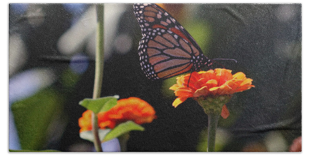 Monarch Butterfly Hand Towel featuring the photograph Monarch Butterfly And Orange Zinnias by Kay Novy