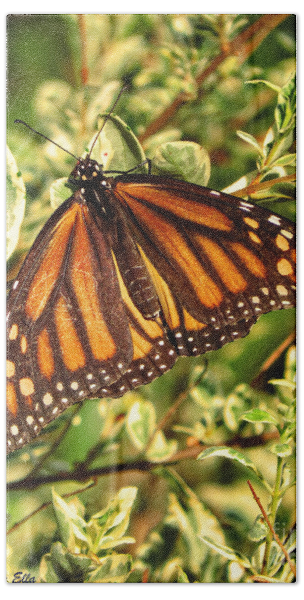 Monarch Butterfly Bath Towel featuring the photograph Monarch In The Journey by Ella Kaye Dickey