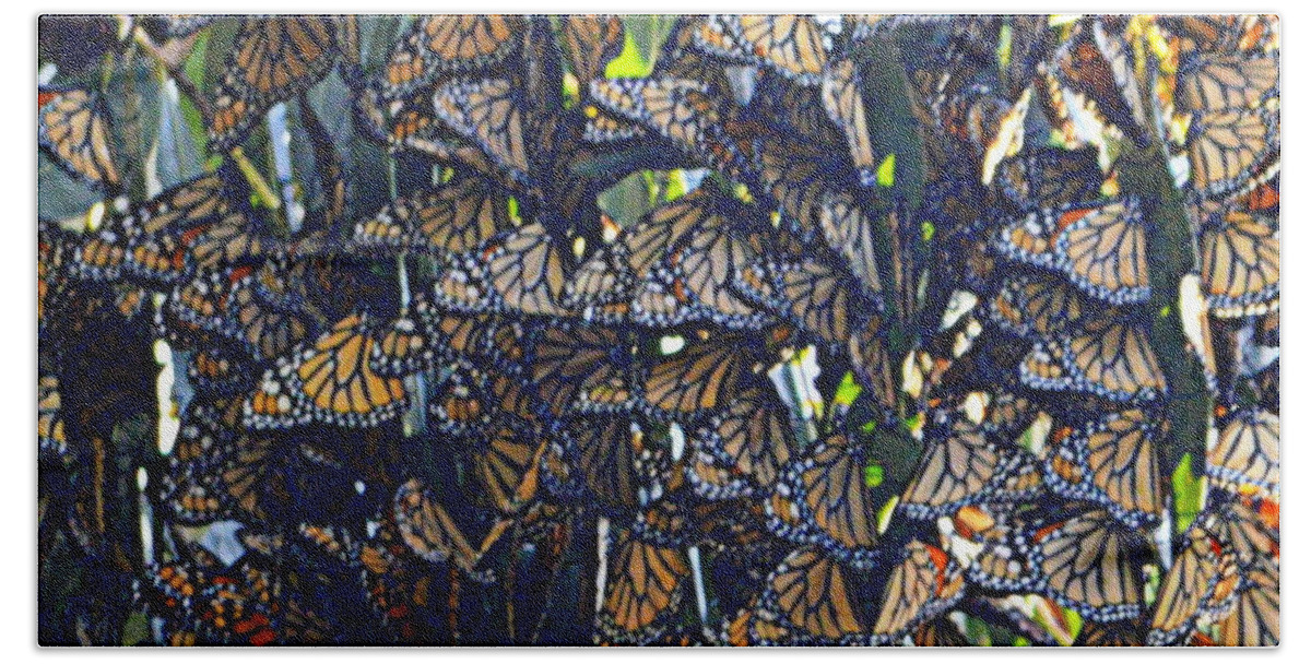 Butterflies Hand Towel featuring the photograph Monarch Mosaic by AJ Schibig