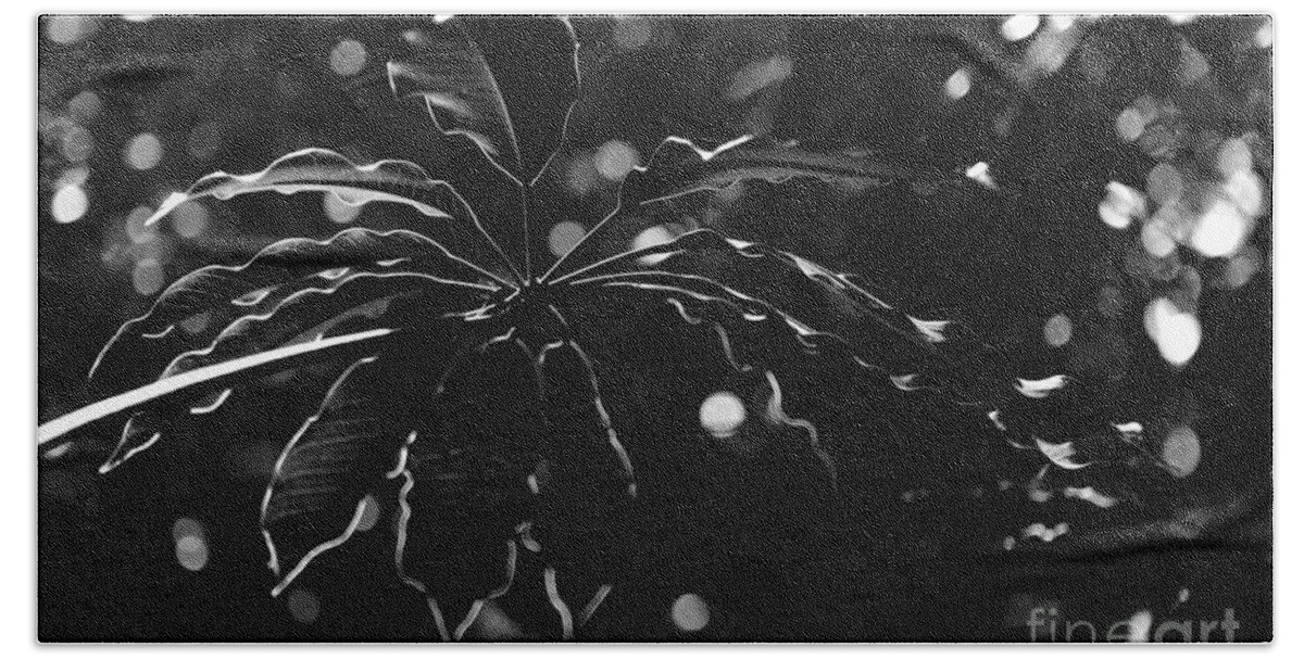 Black Bath Towel featuring the photograph Monochrome leaf by Nicholas Burningham