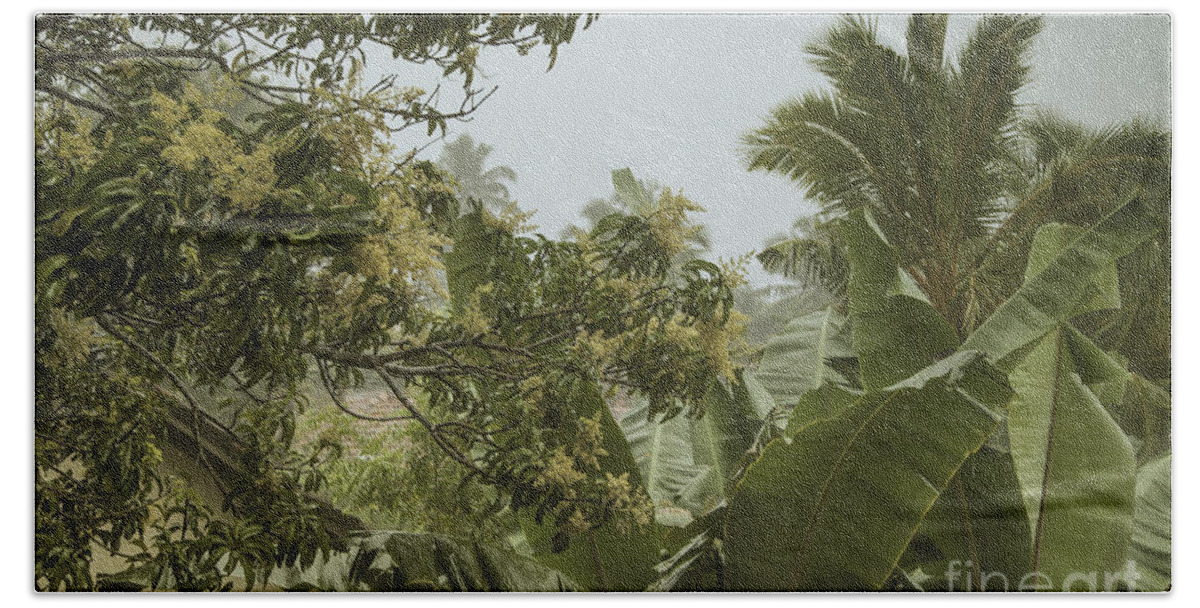 Coco Hand Towel featuring the photograph Monsoon Rains in Sri Lanka by Gina Koch