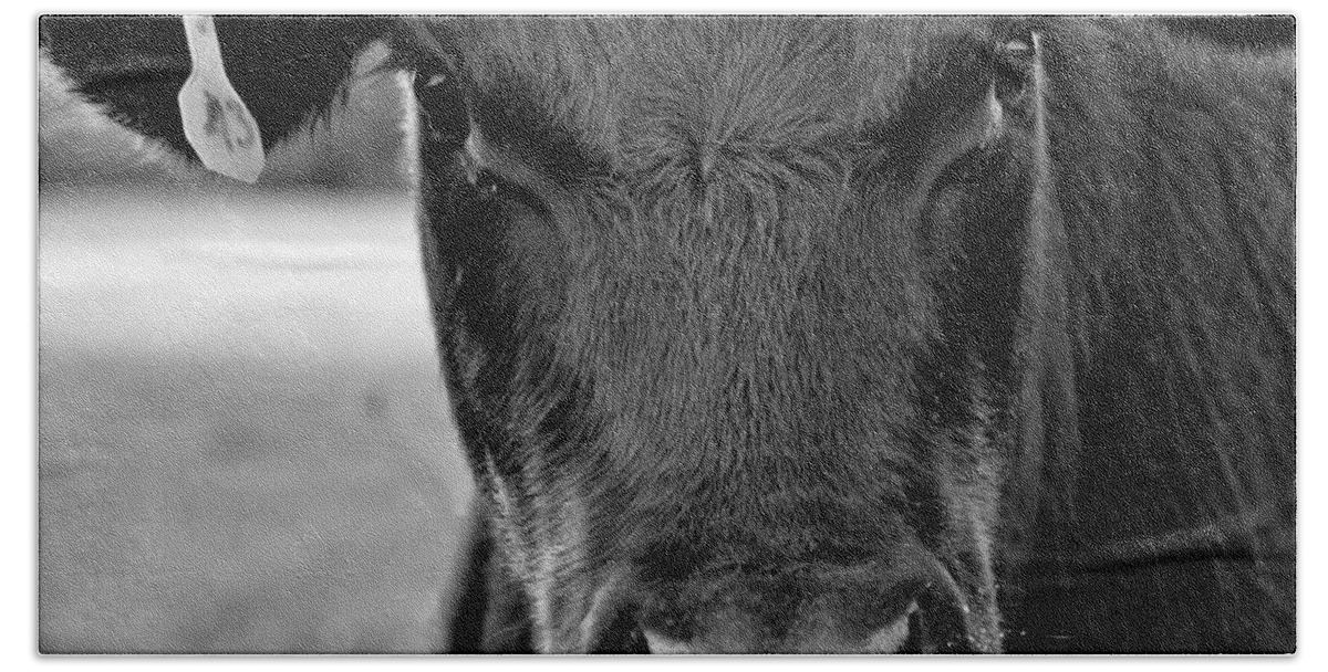 Cow Hand Towel featuring the photograph Moo by Andrea Platt