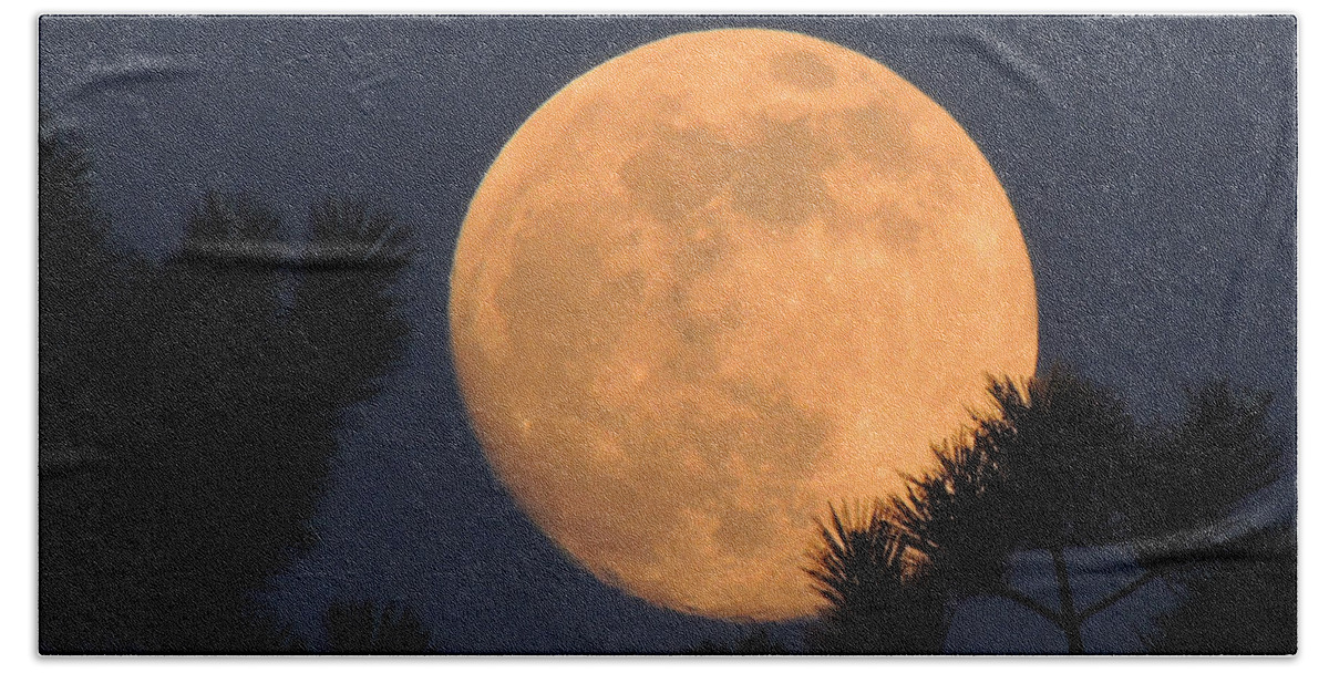 Moon Bath Towel featuring the photograph Moon Pines by Charlotte Schafer