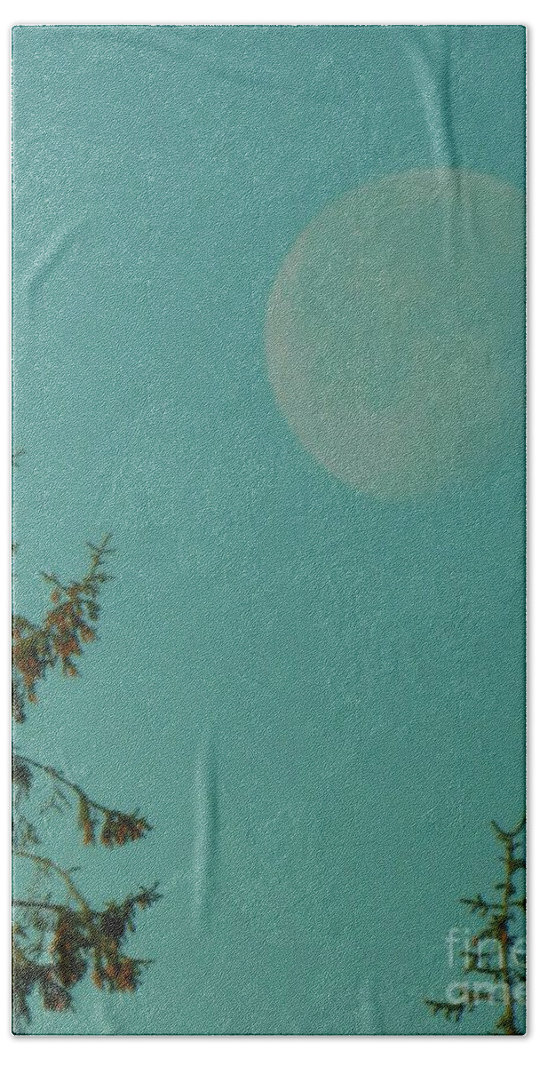 Bird Bath Towel featuring the photograph Moon With Little Bird by Gallery Of Hope 
