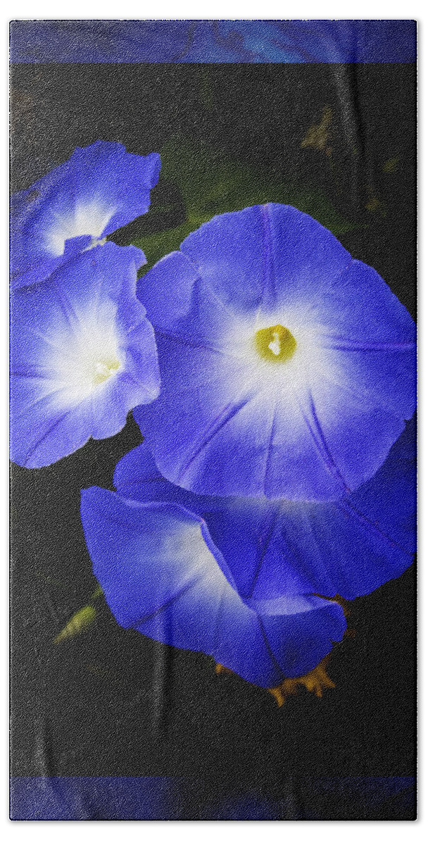 Morning Glory Hand Towel featuring the photograph Moonglow on blue by Jeff Folger