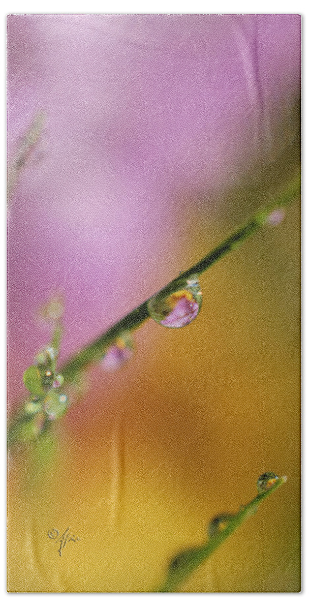 Close-up Hand Towel featuring the photograph Morning Dew by Arthur Fix