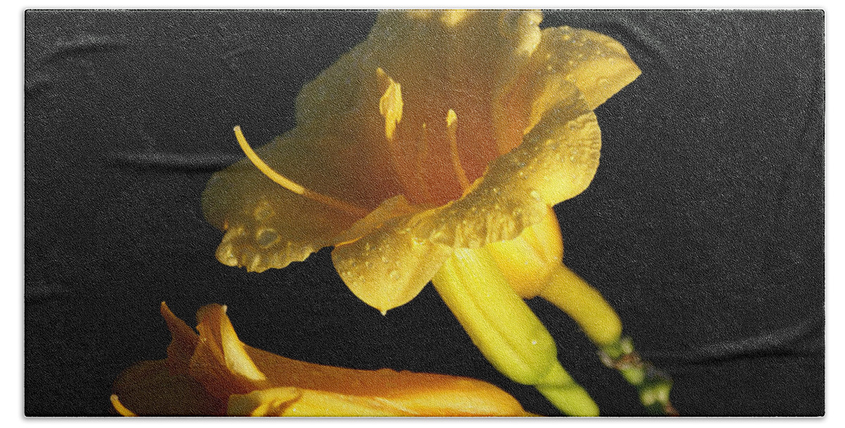 Nature Bath Towel featuring the photograph Morning Dew by Chauncy Holmes