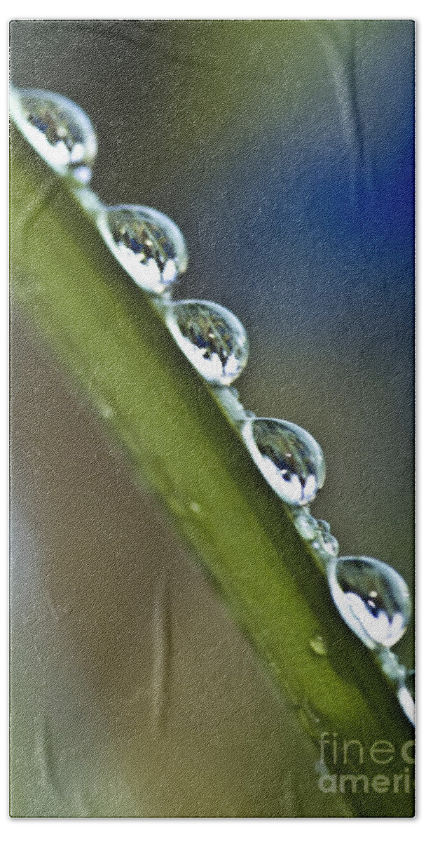  Bath Towel featuring the photograph Morning dew drops 2 by Heiko Koehrer-Wagner