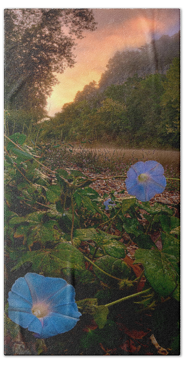 2012 Hand Towel featuring the photograph Morning Glory by Robert Charity