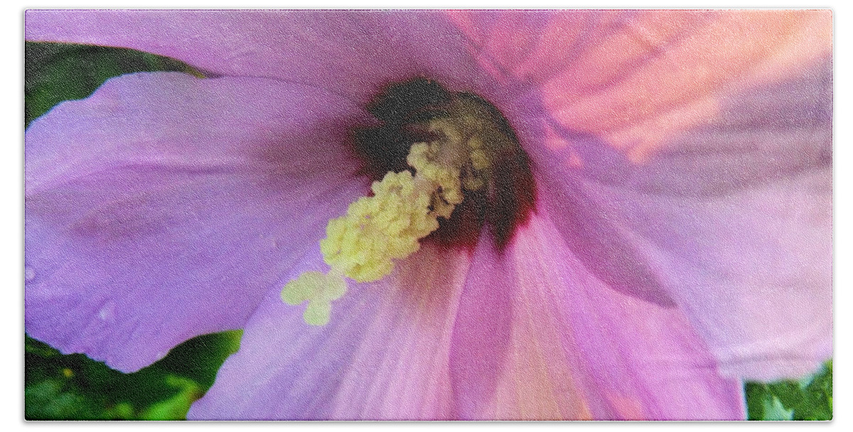 Purple Bath Towel featuring the photograph Morning Glory by Robyn King