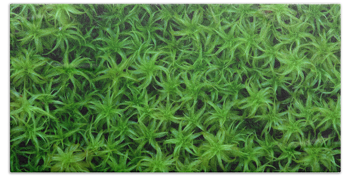 Atrichum Sp. Bath Towel featuring the photograph Moss by Daniel Reed