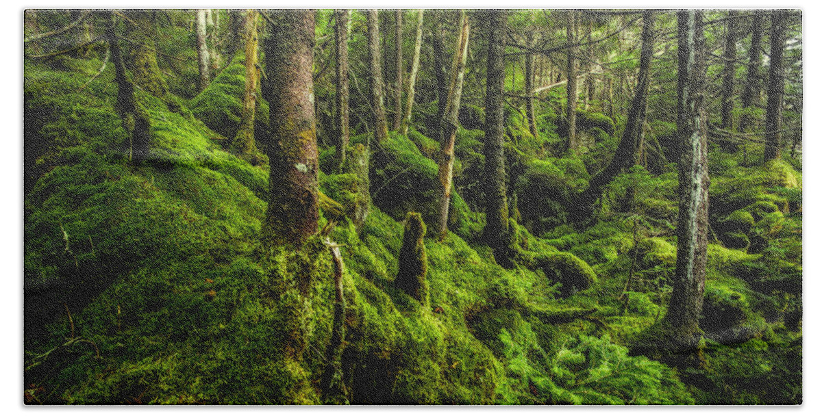 New Hampshire Bath Towel featuring the photograph Moss Garden by Robert Clifford