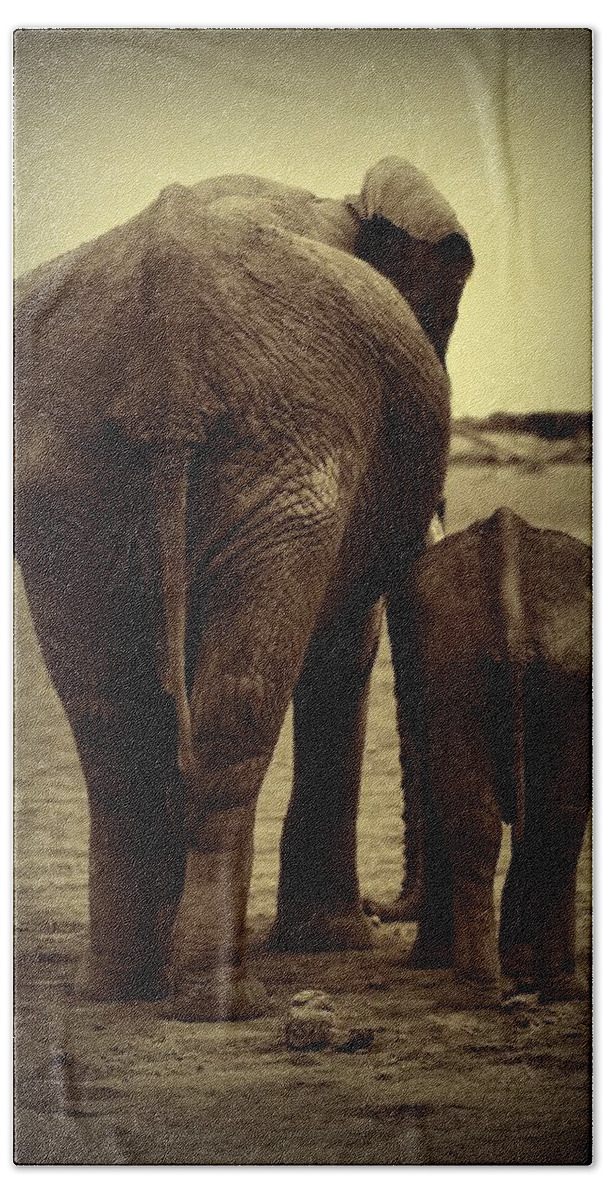 Mother And Baby Elephant Bath Towel featuring the photograph Mother And Baby Elephant In Black And White by Amanda Stadther