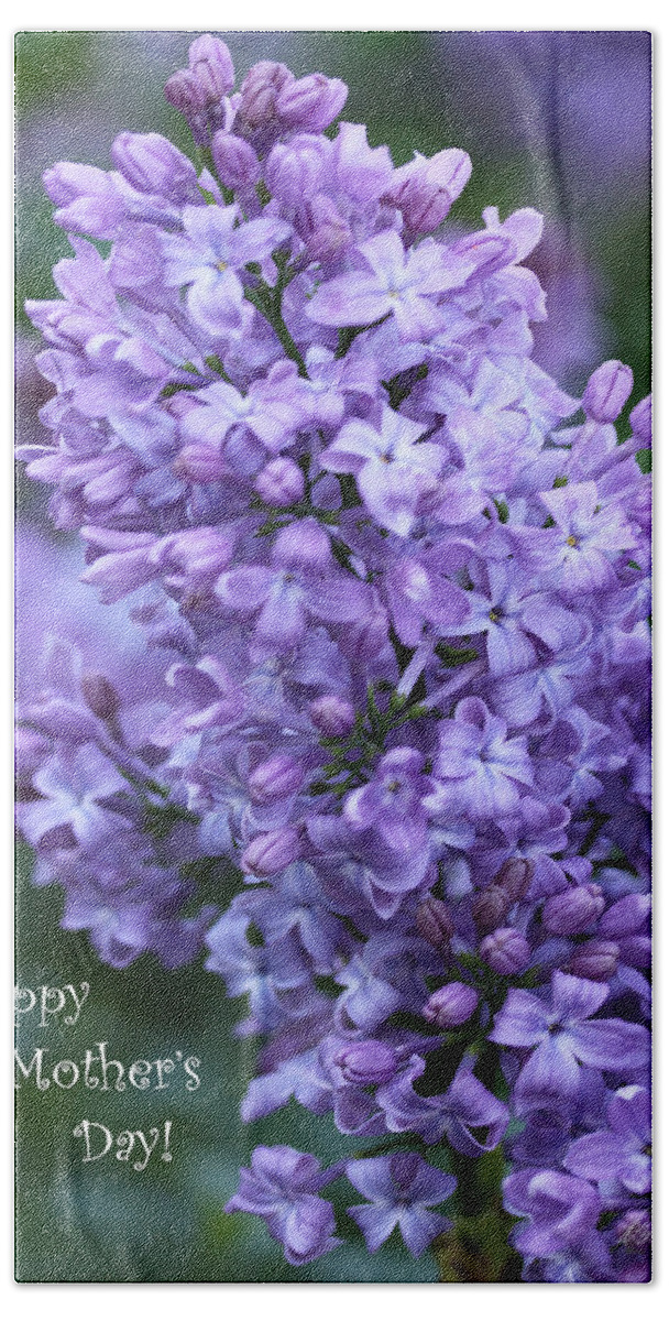 Lilacs Bath Towel featuring the photograph Mothers Day Lilacs by Diana Haronis