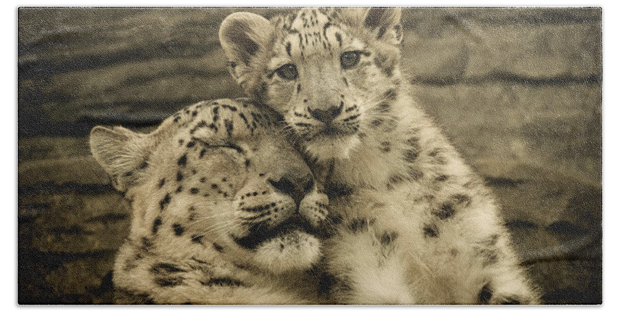 Marwell Bath Towel featuring the photograph Mother's Love by Chris Boulton