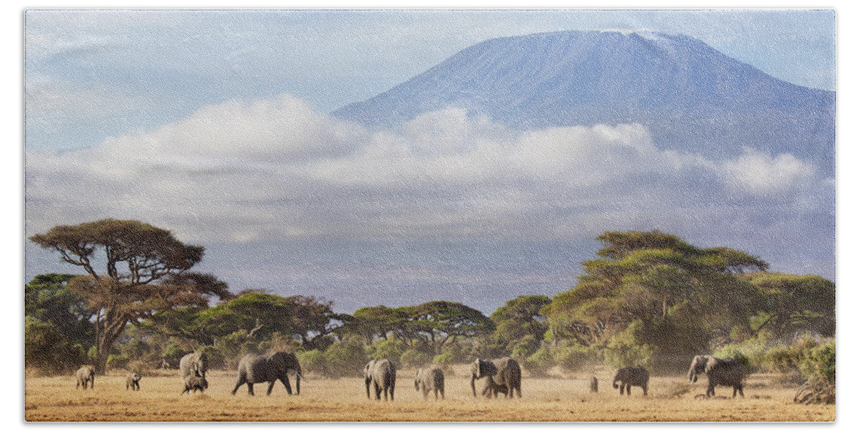 Nis Bath Towel featuring the photograph Mount Kilimanjaro Amboseli by Richard Garvey-Williams