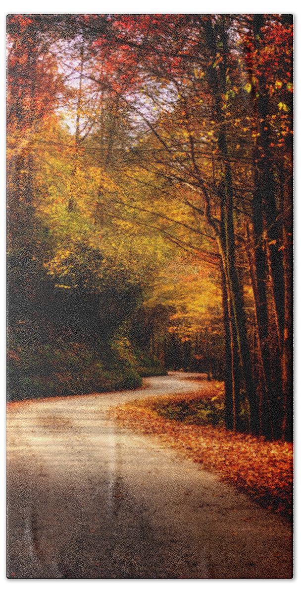 Dirt Road Bath Towel featuring the photograph Mountain Back Road in Fall by Greg and Chrystal Mimbs