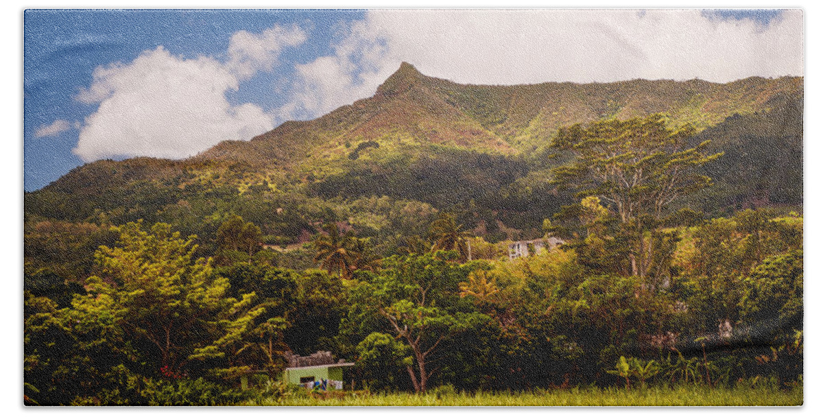 Mauritius Bath Towel featuring the photograph Mountain Mauritian Landscape by Jenny Rainbow