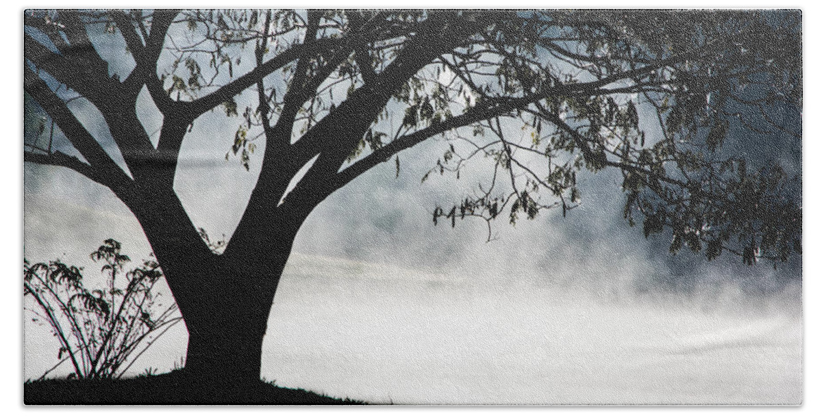 Foggy Landscape Bath Towel featuring the photograph Mourning Tree by Parker Cunningham