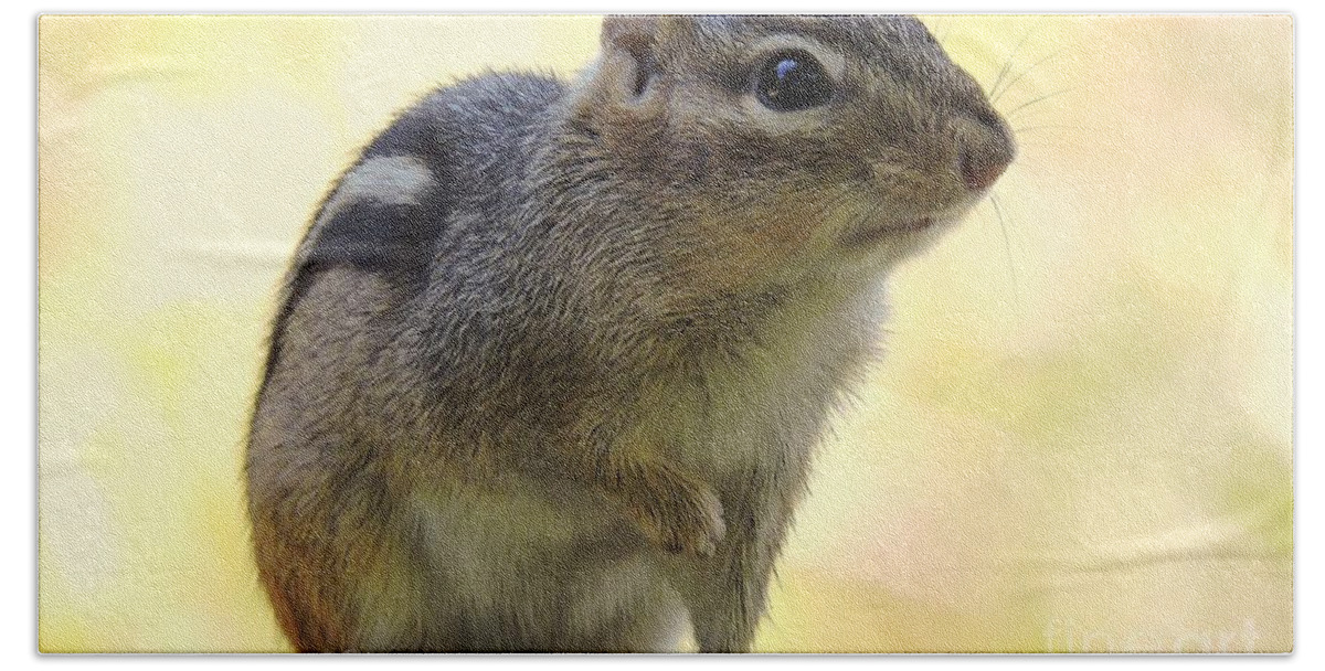 Chipmunk Bath Towel featuring the photograph Mr. Chips by Tami Quigley
