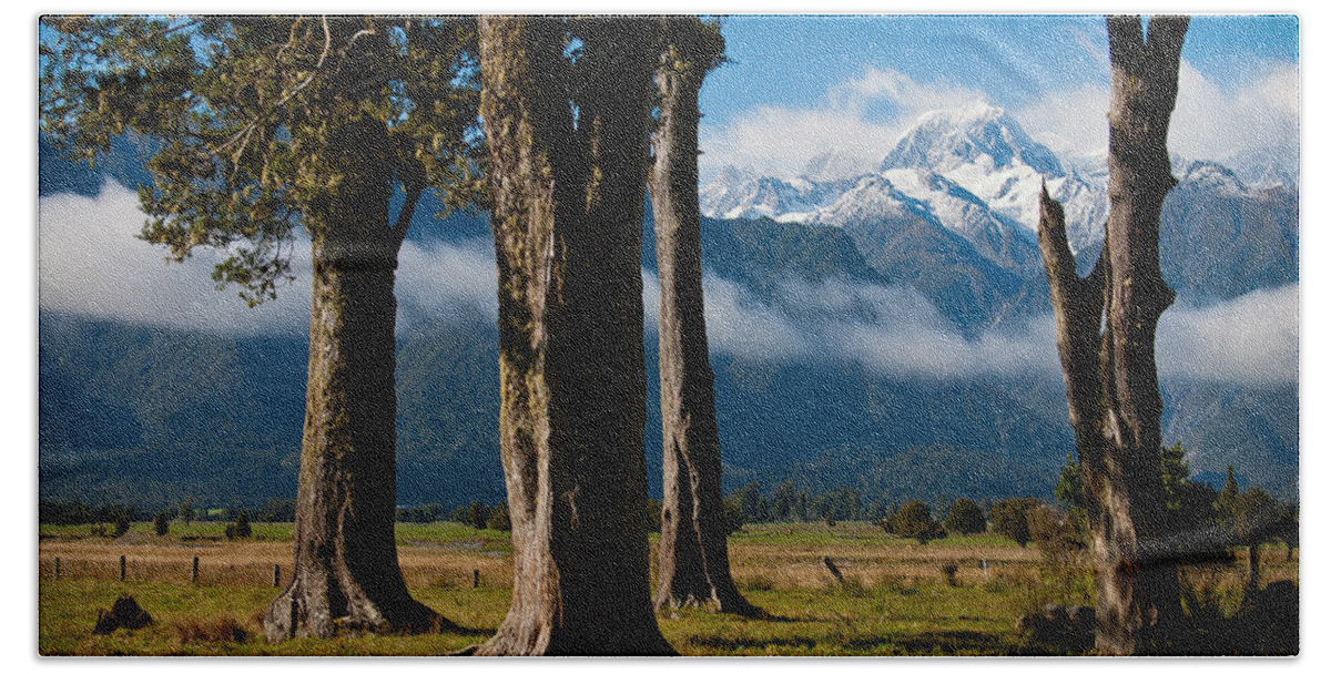 Mt Cook Bath Towel featuring the photograph Mt Cook through trees by Jenny Setchell