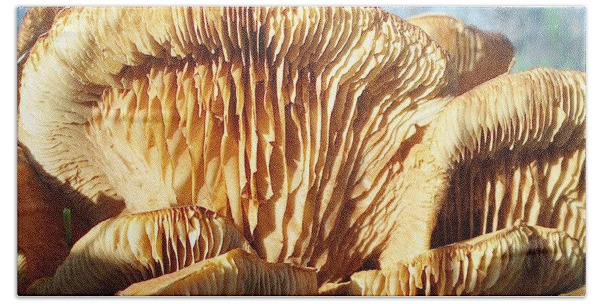 Mushrooms Bath Towel featuring the photograph Mushrooms by Jan Marvin by Jan Marvin