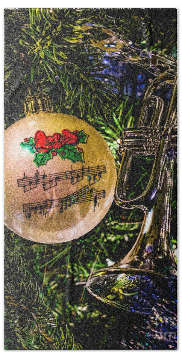 Musical Bath Towel featuring the photograph Musical Christmas by Nick Zelinsky Jr
