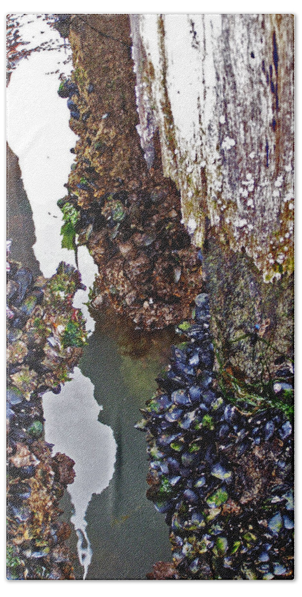 Mussels Bath Towel featuring the photograph Mussels on Pier by Jennifer Robin