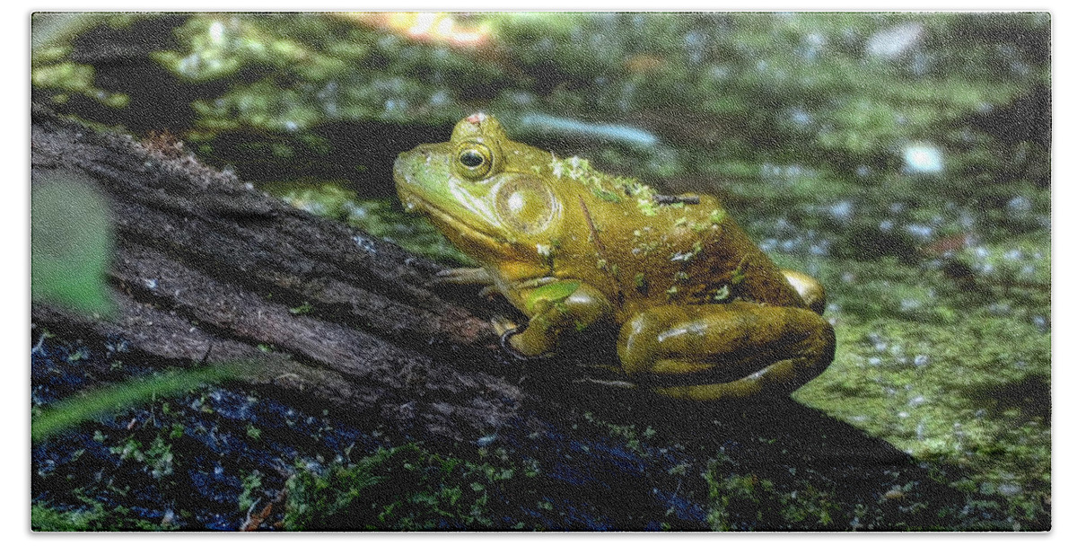 Frog Bath Towel featuring the photograph My Handsome Prince by Kathy Baccari