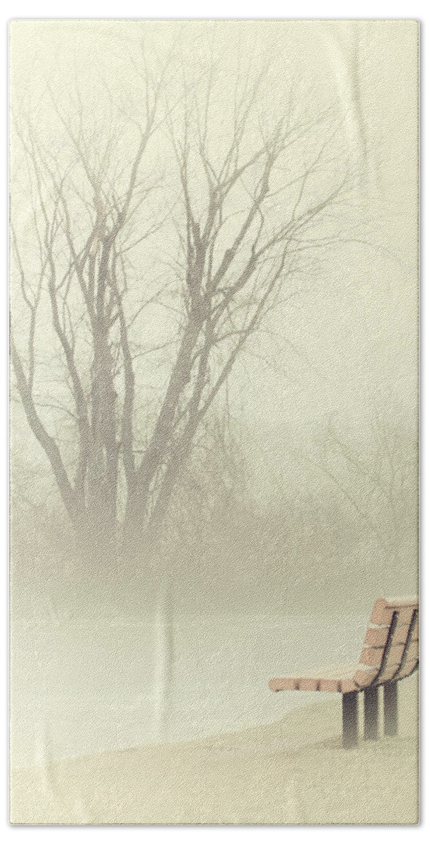 Landscape Bath Towel featuring the photograph Mysterious Peace by Karol Livote