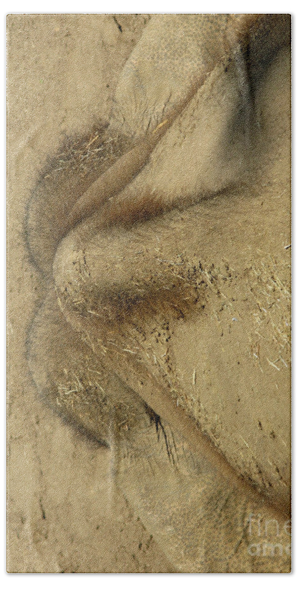 Abstract Bath Towel featuring the photograph Mystery Object aka Baby Elephant by Ausra Huntington nee Paulauskaite