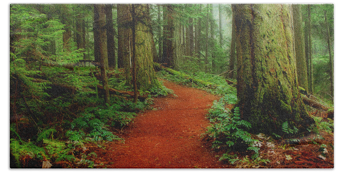 Forest Hand Towel featuring the photograph Mystical Trail by Randy Hall