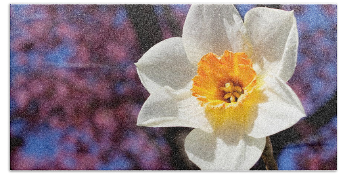 Skompski Hand Towel featuring the photograph Narcissus And Cherry Blossoms by Joseph Skompski