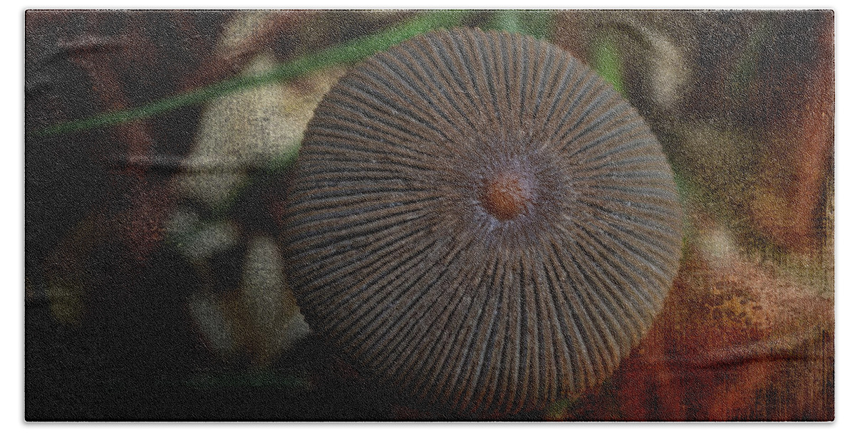 Nature's Button Bath Towel featuring the photograph Nature's Button by Mary Machare