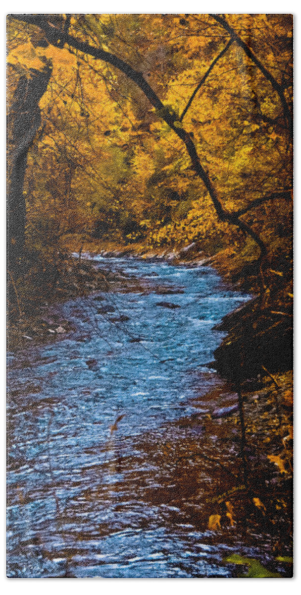 Creek Hand Towel featuring the photograph Natures Golden Secret by DigiArt Diaries by Vicky B Fuller