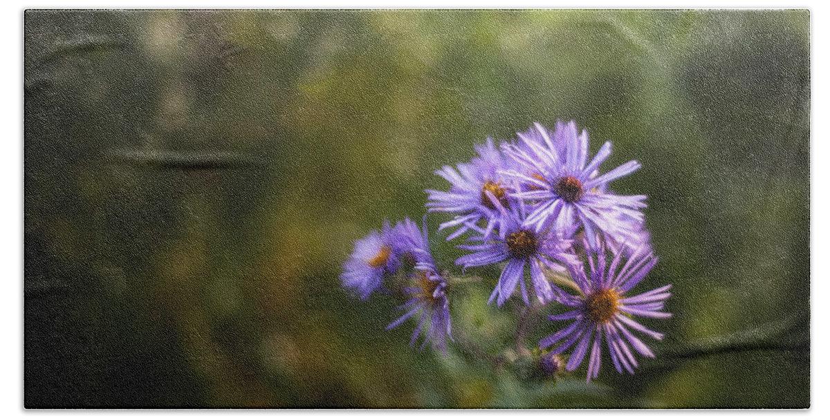 Flowers Hand Towel featuring the photograph New England Asters by Scott Norris