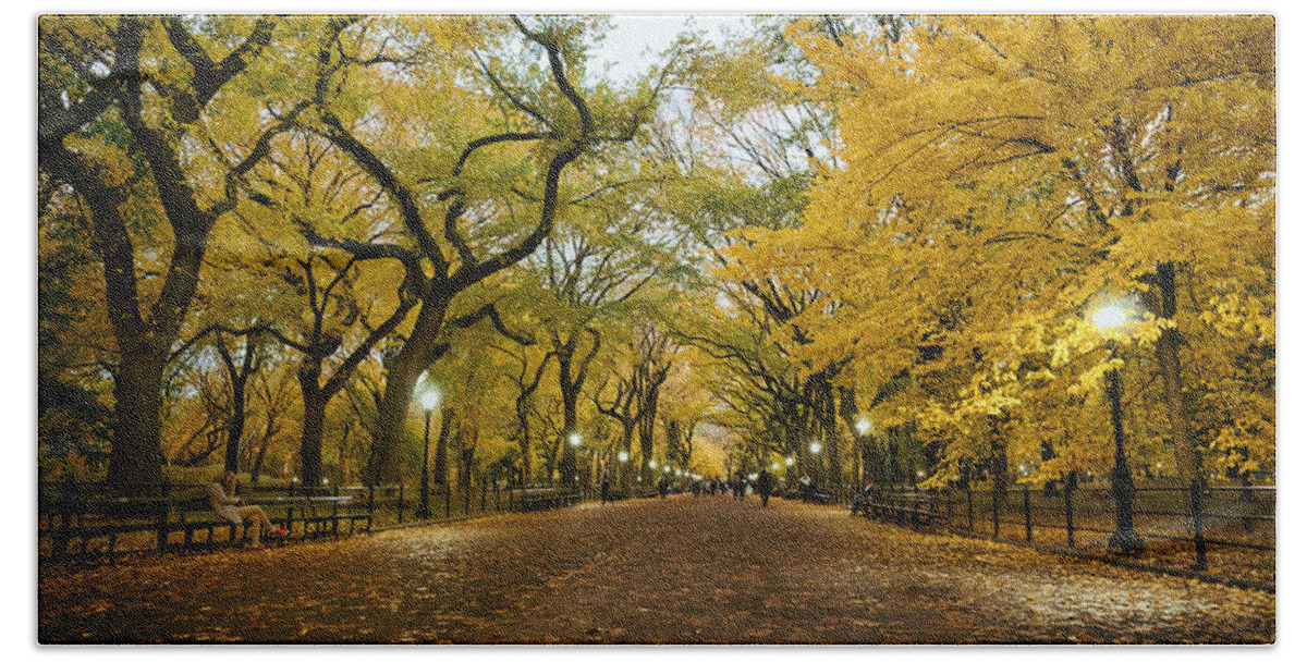 Nyc Bath Towel featuring the photograph New York City - Autumn - Central Park - Literary Walk by Vivienne Gucwa