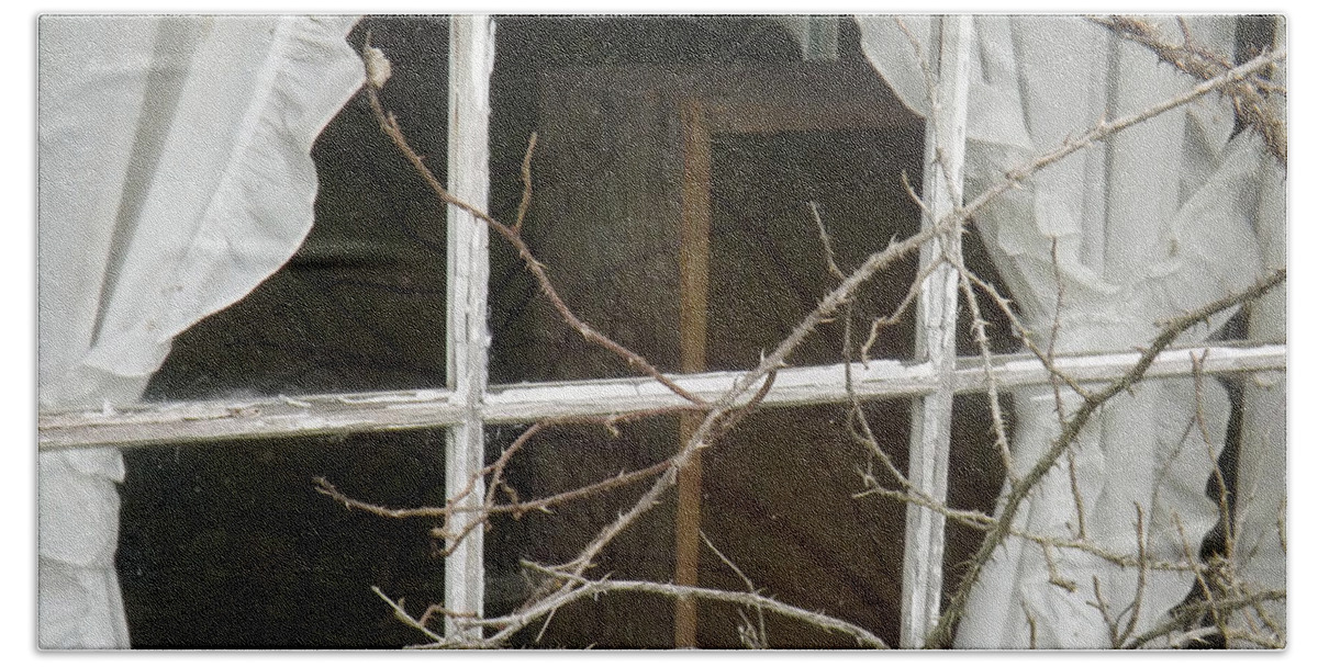 Window Bath Towel featuring the photograph No Peeking says the Thorns by Brenda Brown